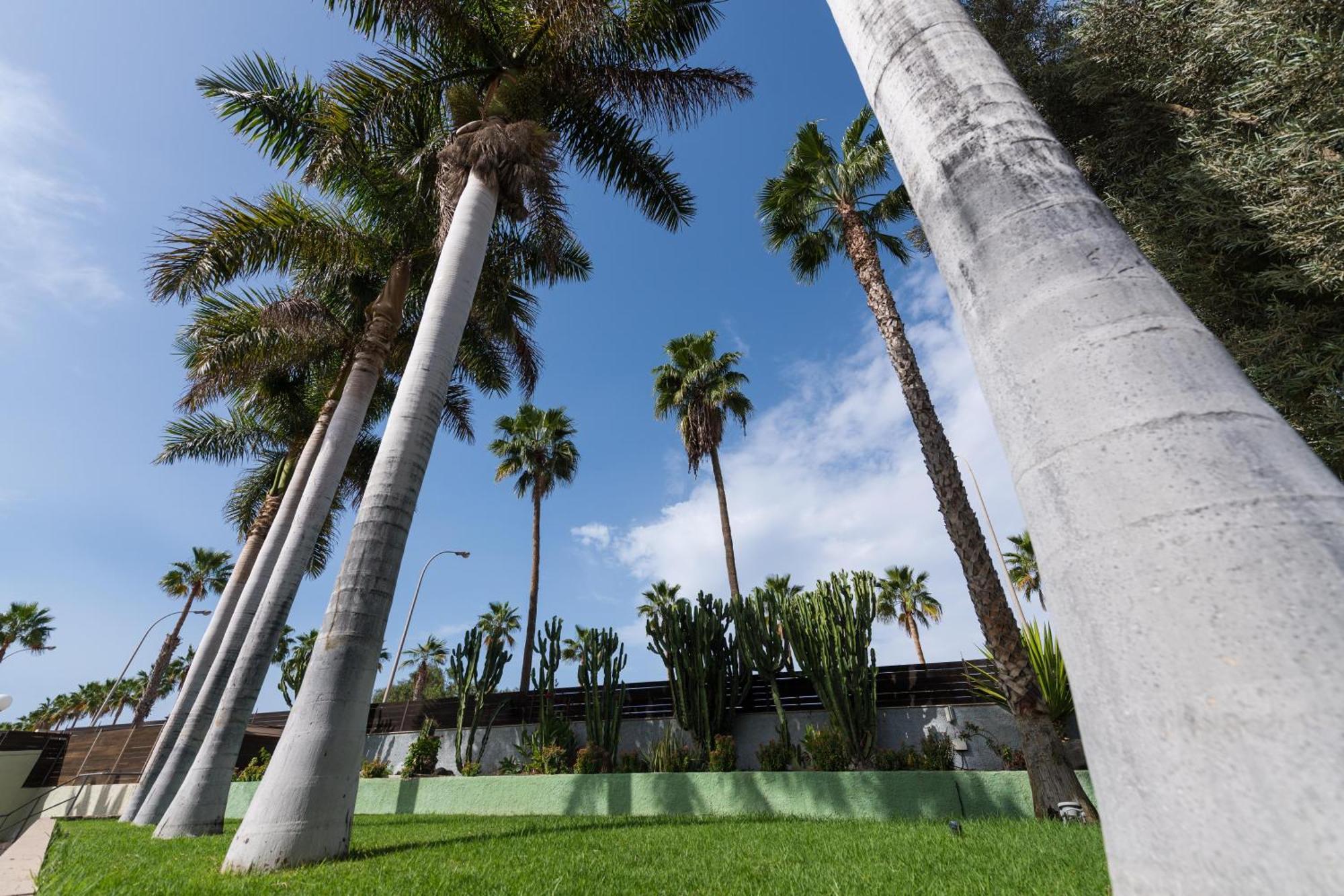 Eo Maspalomas Resort Exterior photo